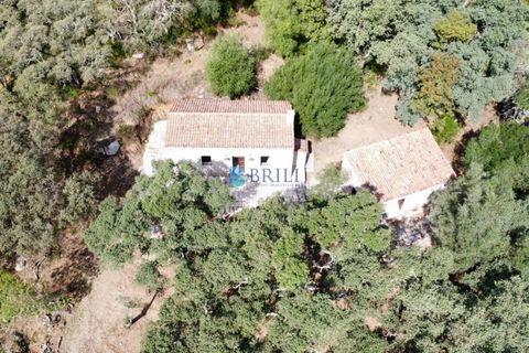Landejendom i Calangianus, Sassari, Calangianus - € 640.000 | Ref: OT-172LM - foto 30
