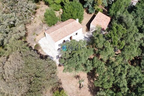 Landejendom i Calangianus, Sassari, Calangianus - € 640.000 | Ref: OT-172LM - foto 32