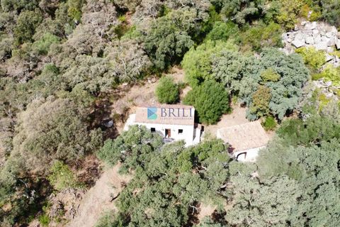 Landejendom i Calangianus, Sassari, Calangianus - € 640.000 | Ref: OT-172LM - foto 33