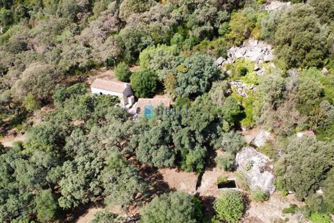 Landejendom i Calangianus, Sassari, Calangianus - € 640.000 | Ref: OT-172LM - foto 34