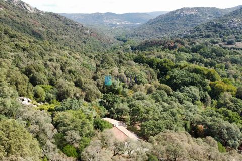 Landejendom i Calangianus, Sassari, Calangianus - € 640.000 | Ref: OT-172LM - foto 35