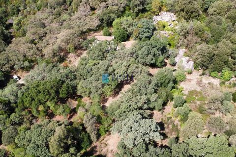 Landejendom i Calangianus, Sassari, Calangianus - € 640.000 | Ref: OT-172LM - foto 36