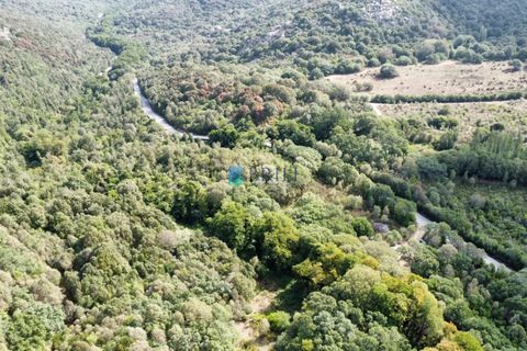 Landejendom i Calangianus, Sassari, Calangianus - € 640.000 | Ref: OT-172LM - foto 37