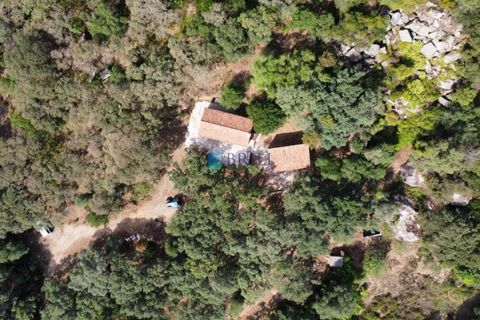 Landejendom i Calangianus, Sassari, Calangianus - € 640.000 | Ref: OT-172LM - foto 38