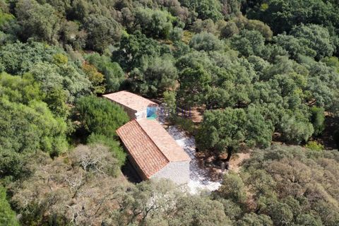 Landejendom i Calangianus, Sassari, Calangianus - € 640.000 | Ref: OT-172LM - foto 39