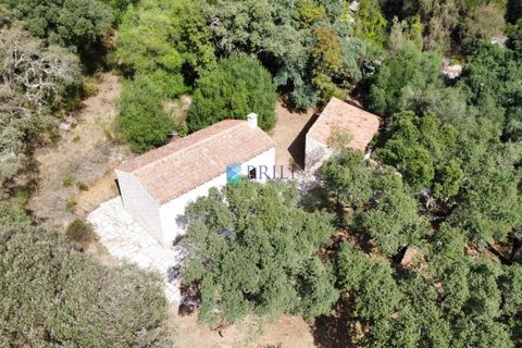 Landejendom i Calangianus, Sassari, Calangianus - € 640.000 | Ref: OT-172LM - foto 40