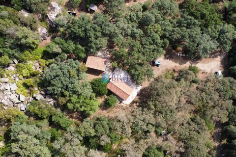 Landejendom i Calangianus, Sassari, Calangianus - € 640.000 | Ref: OT-172LM - foto 41