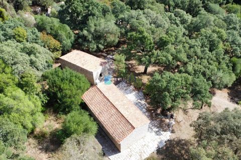 Landejendom i Calangianus, Sassari, Calangianus - € 640.000 | Ref: OT-172LM - foto 43
