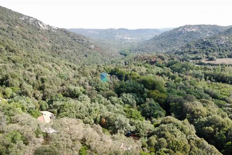 Landejendom i Calangianus, Sassari, Calangianus - € 640.000 | Ref: OT-172LM - foto 44
