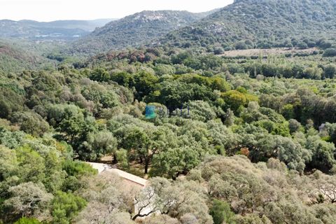 Landejendom i Calangianus, Sassari, Calangianus - € 640.000 | Ref: OT-172LM - foto 46