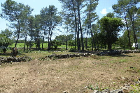 Villa a Seillans, Var, Seillans - € 870.000 | Ref: HH-15040980 - foto 30