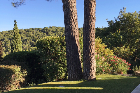 Villa i Seillans, Var, Seillans - € 1.550.000 | Ref: HH-14908054 - foto 8
