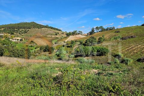 Helårsgrund i Mafra, Lisbon, Mafra - € 233.000 | Ref: SAFTI:005887 - foto 6