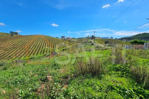 Helårsgrund i Mafra, Lisbon, Mafra - € 233.000 | Ref: SAFTI:005887 - foto 7