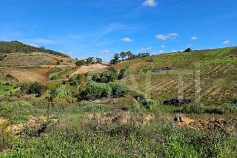 Helårsgrund i Mafra, Lisbon, Mafra - € 233.000 | Ref: SAFTI:005887 - foto 9