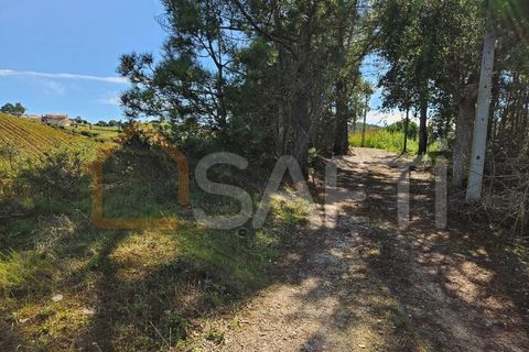 Helårsgrund i Mafra, Lisbon, Mafra - € 233.000 | Ref: SAFTI:005887 - foto 10