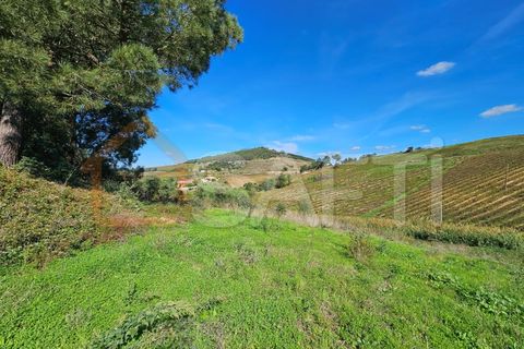 Helårsgrund i Mafra, Lisbon, Mafra - € 233.000 | Ref: SAFTI:005887 - foto 11