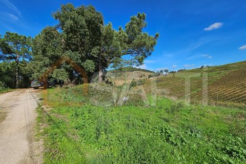 Helårsgrund i Mafra, Lisbon, Mafra - € 233.000 | Ref: SAFTI:005887 - foto 12