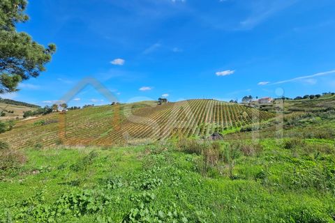 Helårsgrund i Mafra, Lisbon, Mafra - € 233.000 | Ref: SAFTI:005887 - foto 13