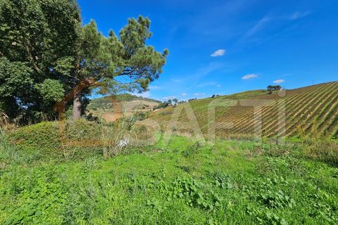 Helårsgrund i Mafra, Lisbon, Mafra - € 233.000 | Ref: SAFTI:005887 - foto 15