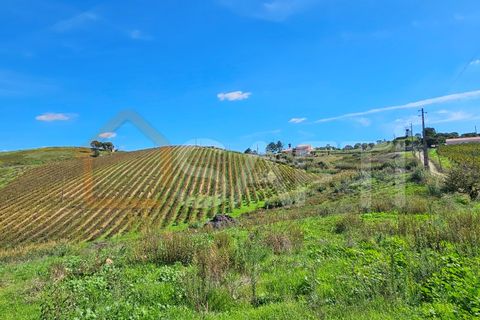 Helårsgrund i Mafra, Lisbon, Mafra - € 233.000 | Ref: SAFTI:005887 - foto 16