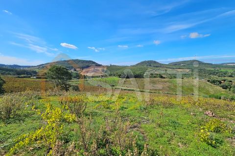 Helårsgrund i Mafra, Lisbon, Mafra - € 233.000 | Ref: SAFTI:005887 - foto 23