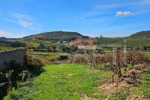 Helårsgrund i Mafra, Lisbon, Mafra - € 233.000 | Ref: SAFTI:005887 - foto 25