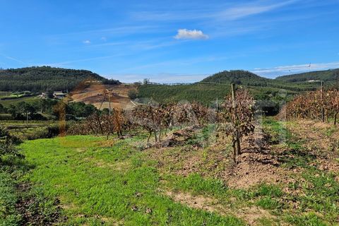 Helårsgrund i Mafra, Lisbon, Mafra - € 233.000 | Ref: SAFTI:005887 - foto 26