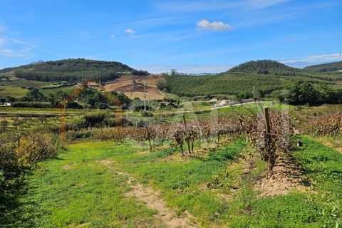 Helårsgrund i Mafra, Lisbon, Mafra - € 233.000 | Ref: SAFTI:005887 - foto 27