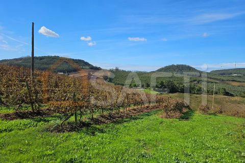 Helårsgrund i Mafra, Lisbon, Mafra - € 233.000 | Ref: SAFTI:005887 - foto 32