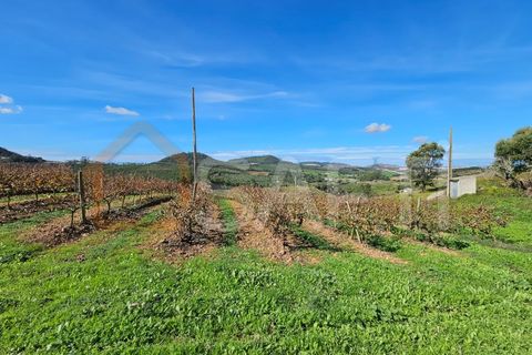 Helårsgrund i Mafra, Lisbon, Mafra - € 233.000 | Ref: SAFTI:005887 - foto 33