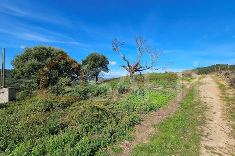 Helårsgrund i Mafra, Lisbon, Mafra - € 233.000 | Ref: SAFTI:005887 - foto 34