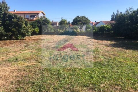 Helårsgrund i Aveiro, Aveiro, Aveiro - € 85.000 | Ref: TER_25 - foto 3