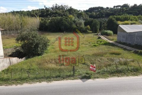 Helårsgrund i Gondemaria e Olival, Santarem, Gondemaria e Olival - € 58.500 | Ref: 1292 - foto 2