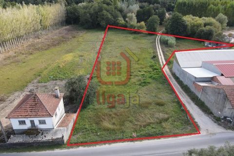 Helårsgrund i Gondemaria e Olival, Santarem, Gondemaria e Olival - € 58.500 | Ref: 1292 - foto 3