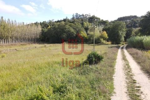 Helårsgrund i Gondemaria e Olival, Santarem, Gondemaria e Olival - € 58.500 | Ref: 1292 - foto 4