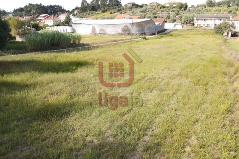 Helårsgrund i Gondemaria e Olival, Santarem, Gondemaria e Olival - € 58.500 | Ref: 1292 - foto 5