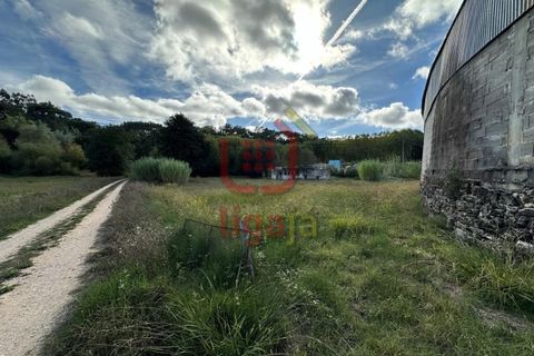 Helårsgrund i Gondemaria e Olival, Santarem, Gondemaria e Olival - € 58.500 | Ref: 1292 - foto 8