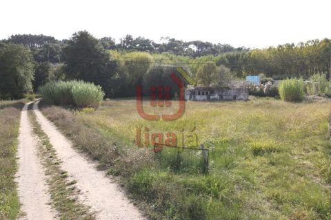 Helårsgrund i Gondemaria e Olival, Santarem, Gondemaria e Olival - € 58.500 | Ref: 1292 - foto 9