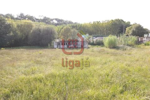 Helårsgrund i Gondemaria e Olival, Santarem, Gondemaria e Olival - € 58.500 | Ref: 1292 - foto 10