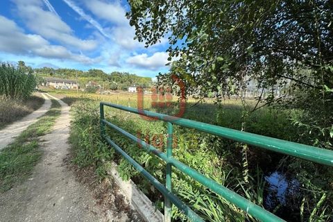 Helårsgrund i Gondemaria e Olival, Santarem, Gondemaria e Olival - € 58.500 | Ref: 1292 - foto 11