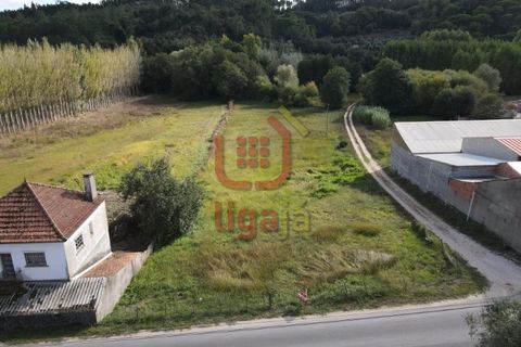 Helårsgrund i Gondemaria e Olival, Santarem, Gondemaria e Olival - € 58.500 | Ref: 1292 - foto 12