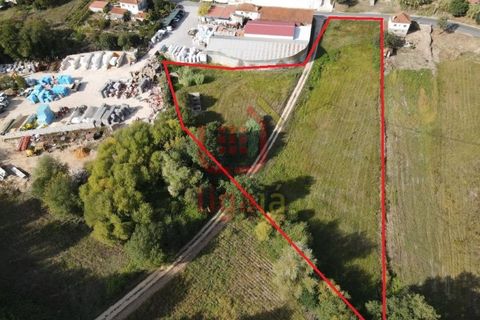 Helårsgrund i Gondemaria e Olival, Santarem, Gondemaria e Olival - € 58.500 | Ref: 1292 - foto 13