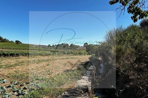 Landejendom i Sabrosa, Vila Real, Sabrosa - € 700.000 | Ref: CAS_51 - foto 1