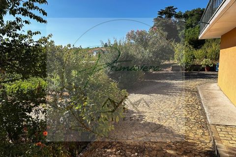 Landejendom i Sabrosa, Vila Real, Sabrosa - € 700.000 | Ref: CAS_51 - foto 3