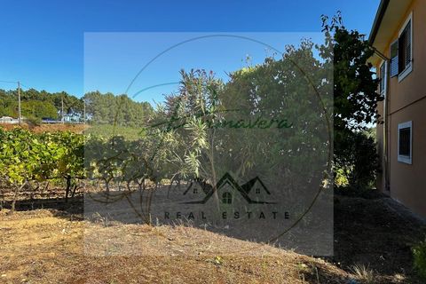 Landejendom i Sabrosa, Vila Real, Sabrosa - € 700.000 | Ref: CAS_51 - foto 5