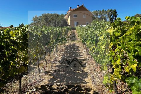 Landejendom i Sabrosa, Vila Real, Sabrosa - € 700.000 | Ref: CAS_51 - foto 7