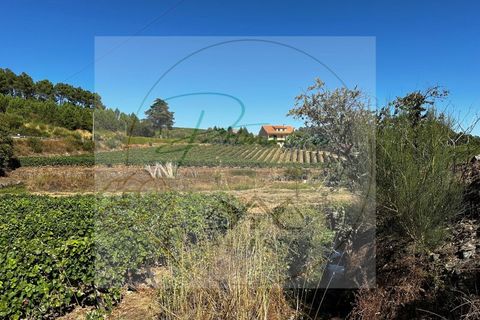 Landejendom i Sabrosa, Vila Real, Sabrosa - € 700.000 | Ref: CAS_51 - foto 11
