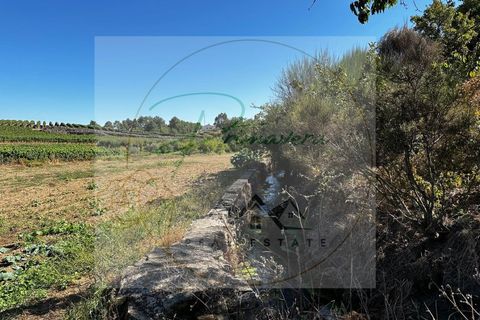 Landejendom i Sabrosa, Vila Real, Sabrosa - € 700.000 | Ref: CAS_51 - foto 43