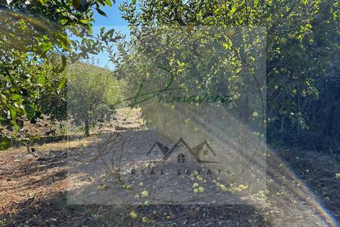 Landejendom i Sabrosa, Vila Real, Sabrosa - € 700.000 | Ref: CAS_51 - foto 46